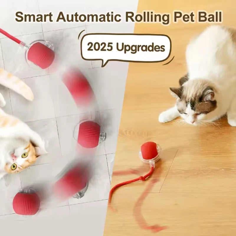 Interactive Smart Cat Ball Toy with Rope – Automatic Rolling & Bouncing Exercise Toy for Indoor Cats
