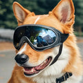 Pet Dog Goggles – Adjustable UV Protection Windproof Sunglasses for Dogs, Outdoor Eye Protection