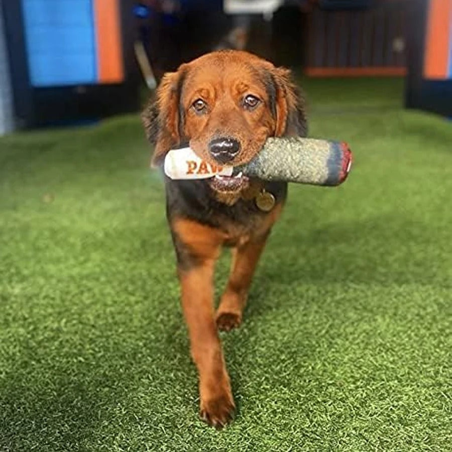 Funny Cigar Dog Toy – Plush Squeaky Chew Toy for Small & Medium Dogs, Interactive Teeth Cleaning Toy