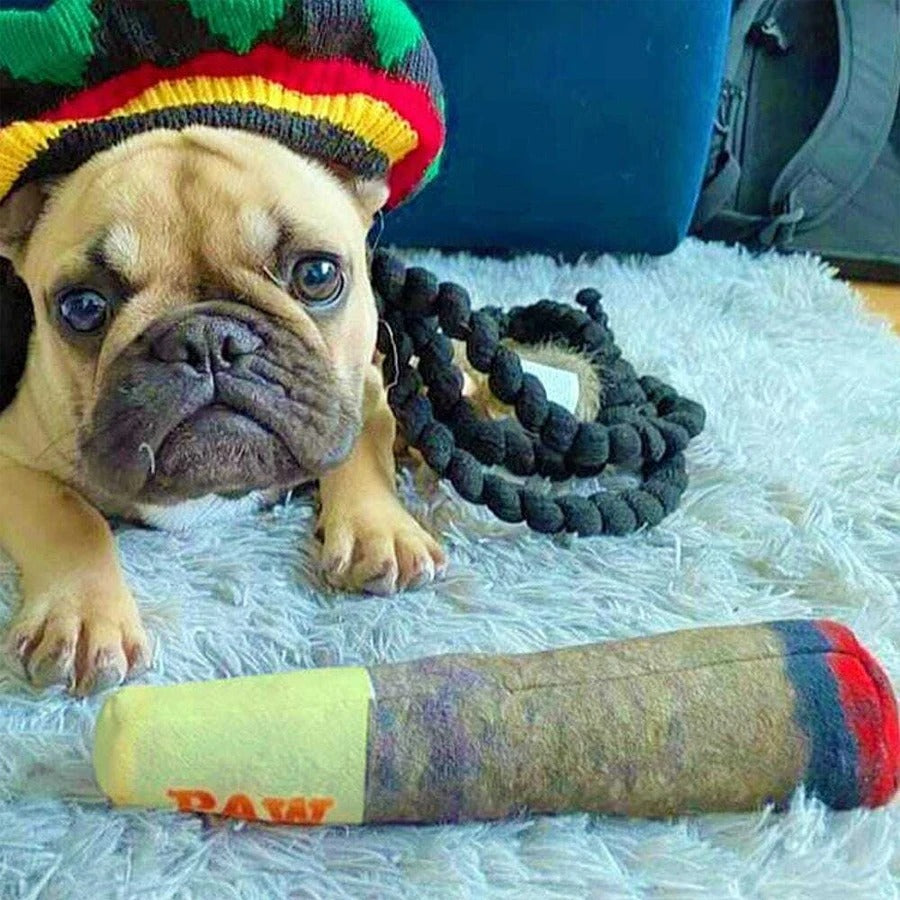 Funny Cigar Dog Toy – Plush Squeaky Chew Toy for Small & Medium Dogs, Interactive Teeth Cleaning Toy